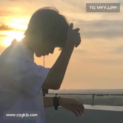 费仲季